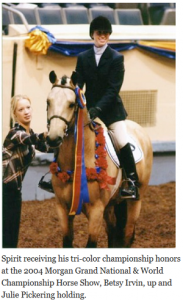 equestrian championship winning horse