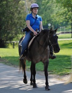 Equestrian Studies program alum, Leslie Potter