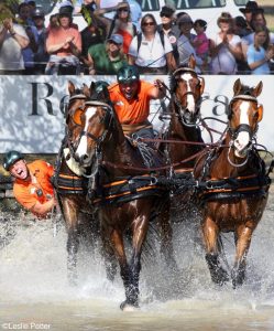 World Equestrian Games photo by Leslie Potter